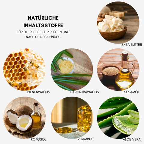 Pfotenbalsam 150ml