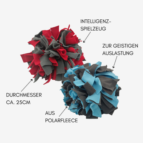 Schnüffelball