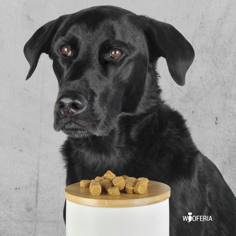 Kartoffel-Huhn Softies | 200g