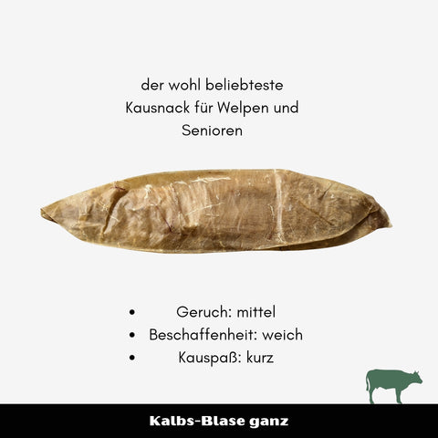 Kalbs-Blase ganz | Stück