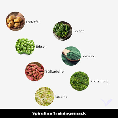 Spirulina-Trainingssnack | 100g