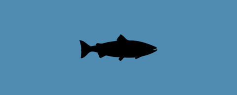Fisch
