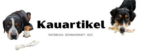 Kauartikel