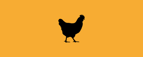 Huhn