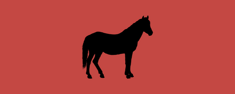 Pferd