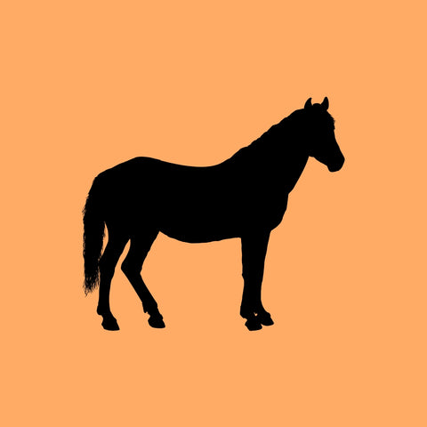 Pferd