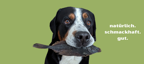 Kauartikel und Snacks - Hund GSS mit Flunder - natürlich, schmackhaft, gut