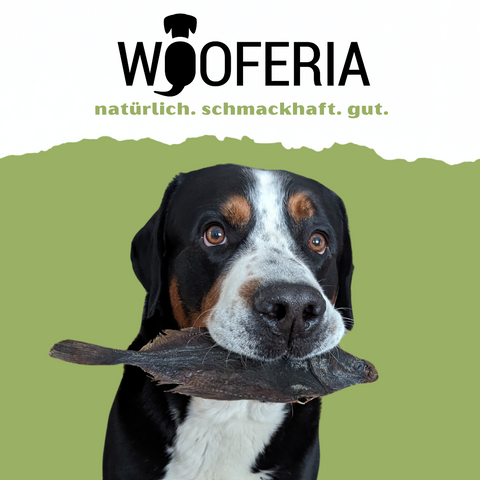 Kauartikel und Snacks - Hund GSS mit Flunder - natürlich, schmackhaft, gut