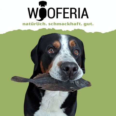 Kauartikel und Snacks