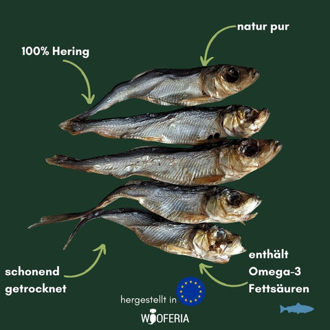 Hering | 100g [EU]