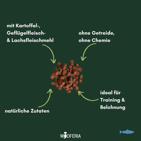 Kartoffel-Lachs Softies | 200g [EU]