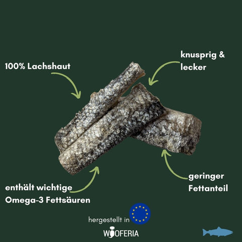 Lachs-Haut Streifen | 100g [EU]