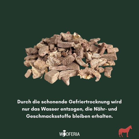 Pferde-Fleisch gefriergetrocknet | 100g [DE]