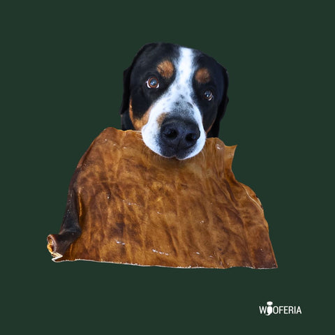 Pferde-Haut Platten | 500g [EU]