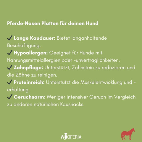 Pferde-Nasen Platten | Stück [DE]