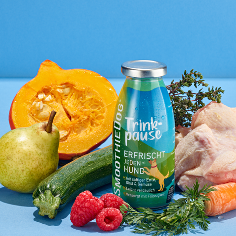 Smoothie Trinkpause | 250ml [EU]