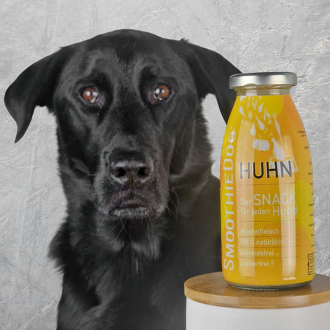 Smoothie Huhn | 250ml [EU]