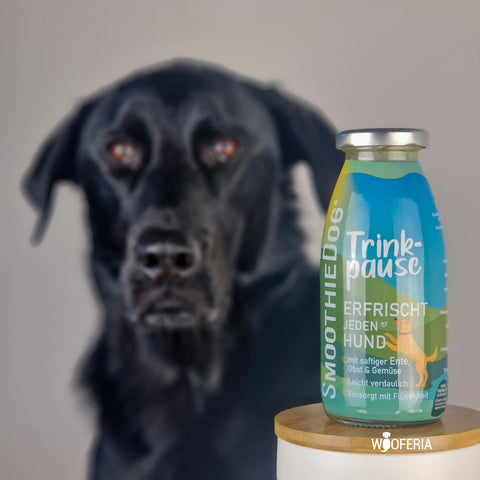 Smoothie Trinkpause | 250ml [EU]
