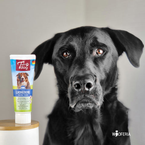 Tubidog Lachscreme | 75g [DE]
