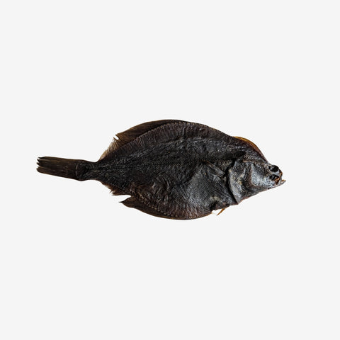 Flunder | Stück