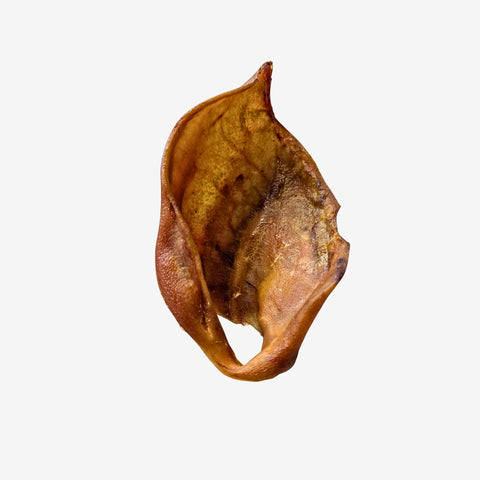 schonend getrocknetes Schweineohr für Hunde