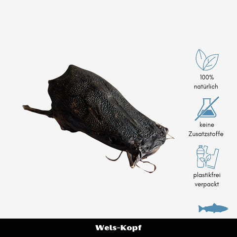 Welsköpfe | Stück