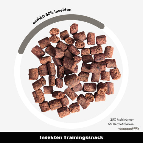 Insekten-Trainingssnack | 100g