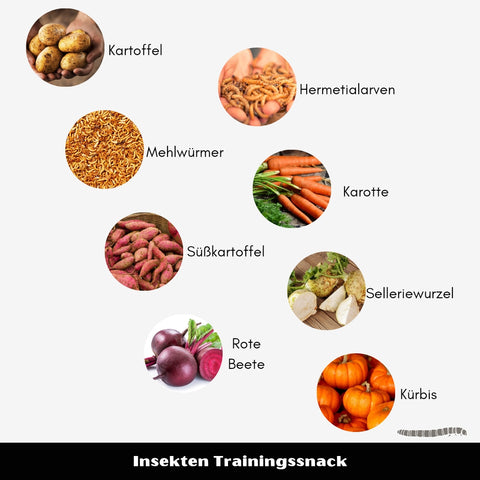 Insekten-Trainingssnack | 100g
