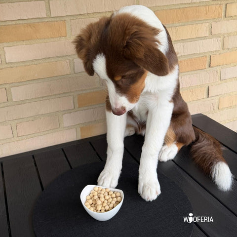 Kokos Trainies Soft | 100g [DE]