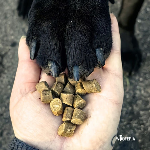 Kartoffel-Wild Softies | 200g [EU]