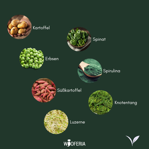 Spirulina-Trainingssnack | 100g [DE]