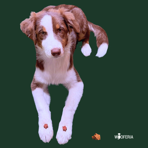 Kartoffel-Büffel Softies | 200g [EU]