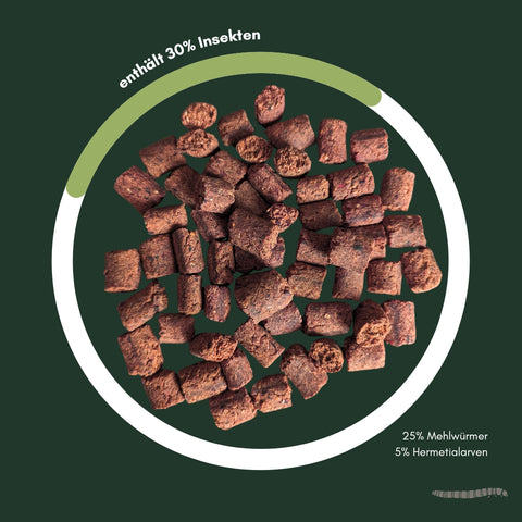 Insekten-Trainingssnack | 100g [DE]