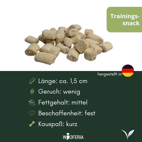 Kokos Trainingssnack | 100g [DE]