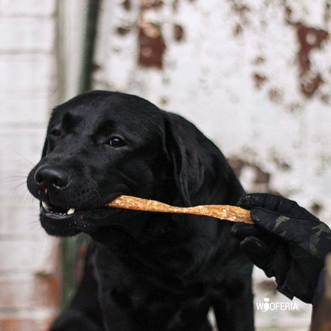 Hirsch-Sehnen | 200g