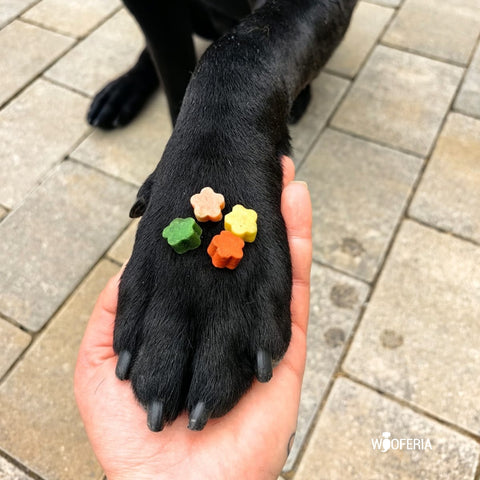 Kartoffel-Früchte-Mix Softies | 200g