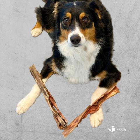 Rinder-Kopfhaut Stücke ca. 30cm | 500g [DE]