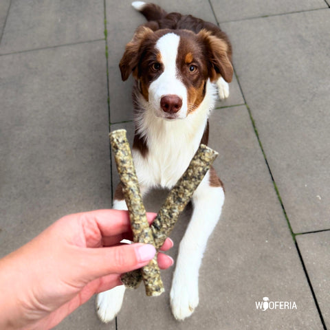 Kabeljau-Haut Rolle | Stück [EU]