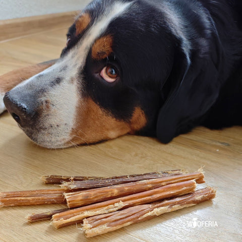 Pferde Kausticks | 200g [EU]