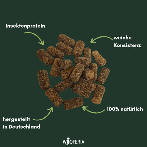 Insekten Soft-Trainies | 100g [DE]
