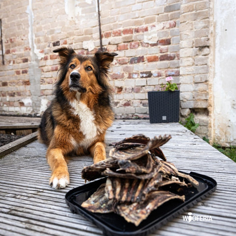 Reh-Rippen ganz | 1000g [EU]