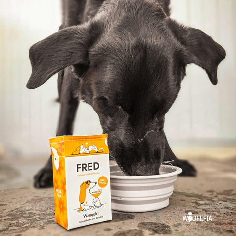 Dog Drink Wauquiri Huhn | 200g [DE]