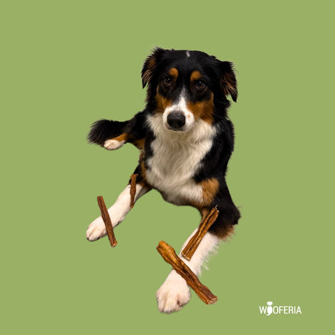 Rinder Kausticks | 200g [EU]