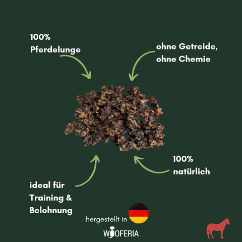 Pferde-Lunge Trainingshappen | 100g [DE]