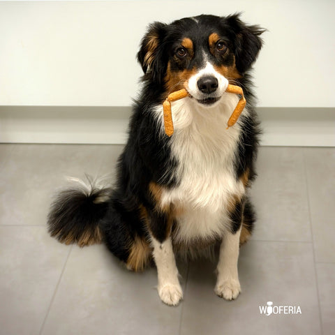 Pflanzen Würstchen 9cm | Stück [EU]