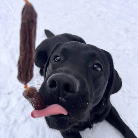 Enten Würstchen 9cm | Stück [EU]