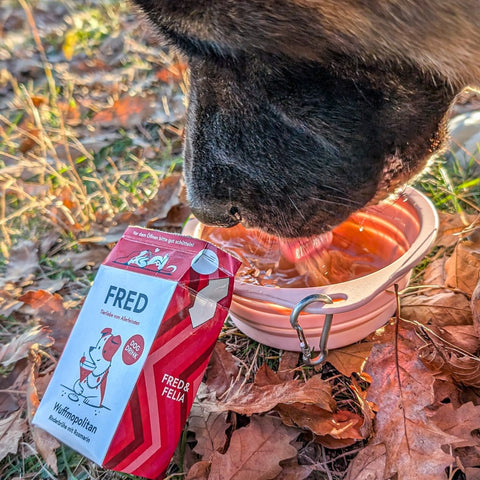 Dog Drink Wuffmopolitan Rind | 200g [DE]