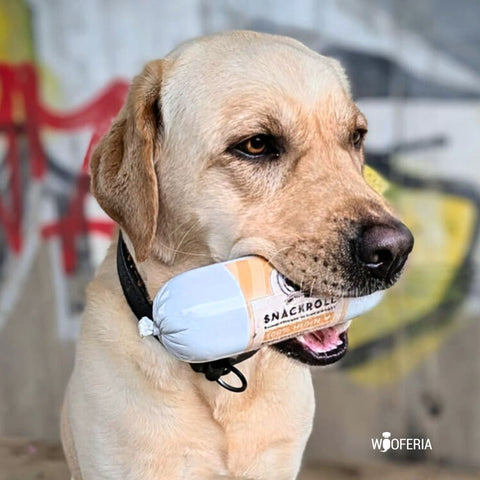 Hundewurst Huhn | 400g [EU]