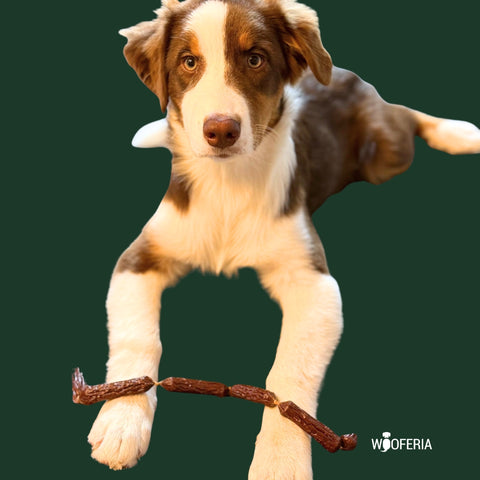 Hühner-Würstchen 9cm | Stück [EU]