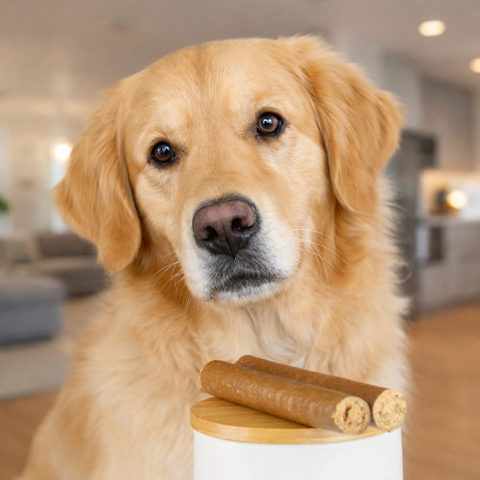 Enten-Fleisch Rolle | Stück [DE]